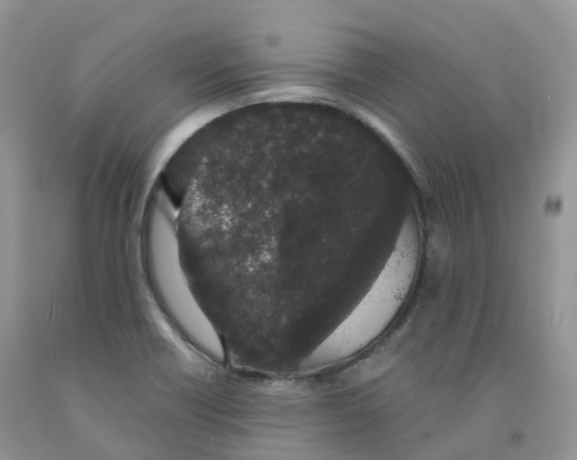 X0000091331418200709071147