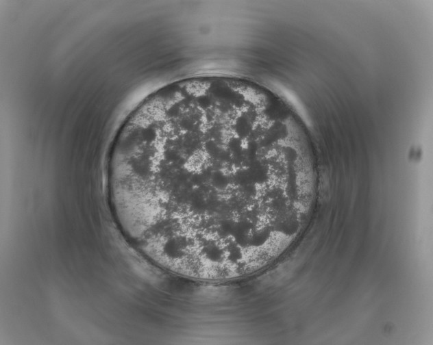 X0000091331419200709071147