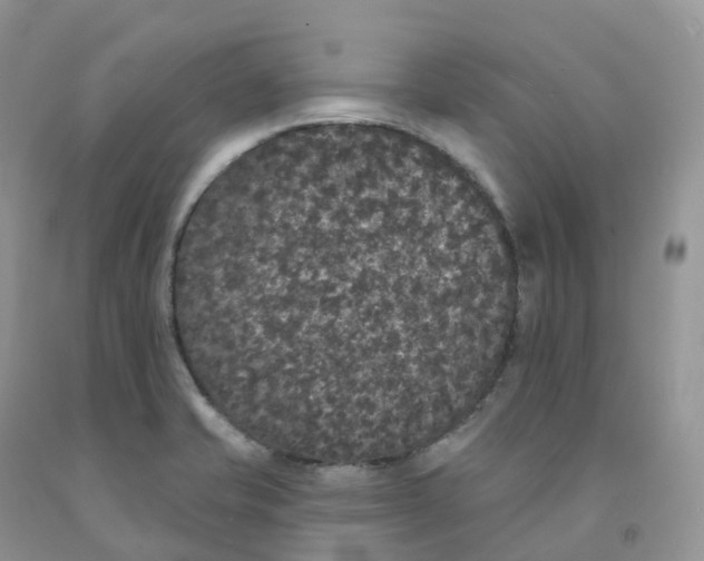 X0000091331421200709071147