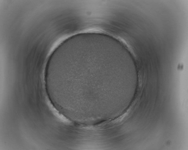 X0000091331422200709071147