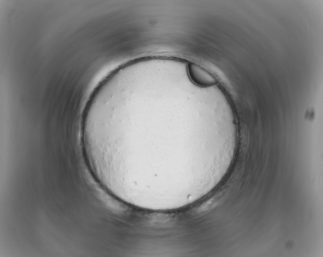 X0000091331424200709071147