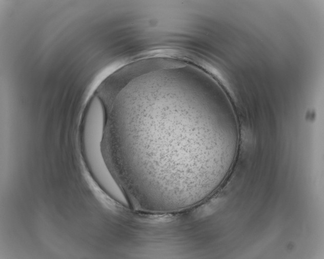 X0000091331426200709071147