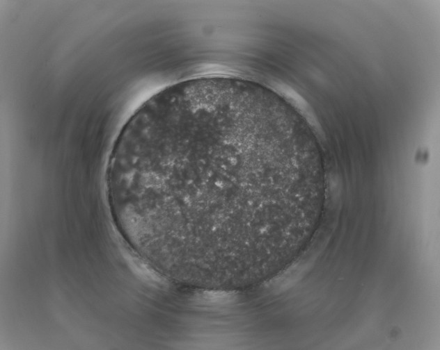 X0000091331427200709071147