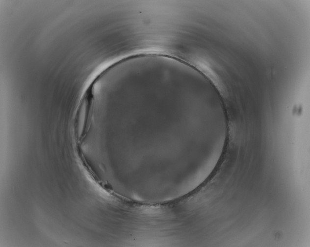 X0000091331428200709071147