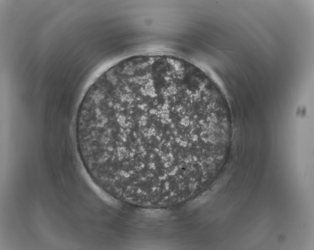 X0000091331429200709071147