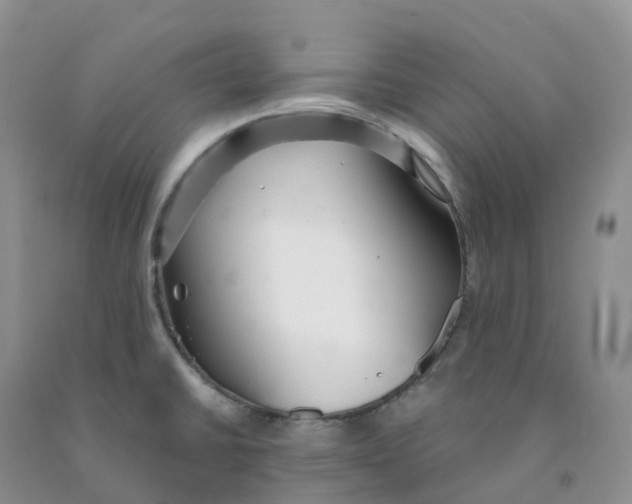 X0000091331430200709071147