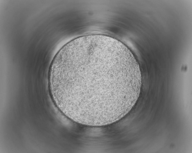 X0000091331431200709071147