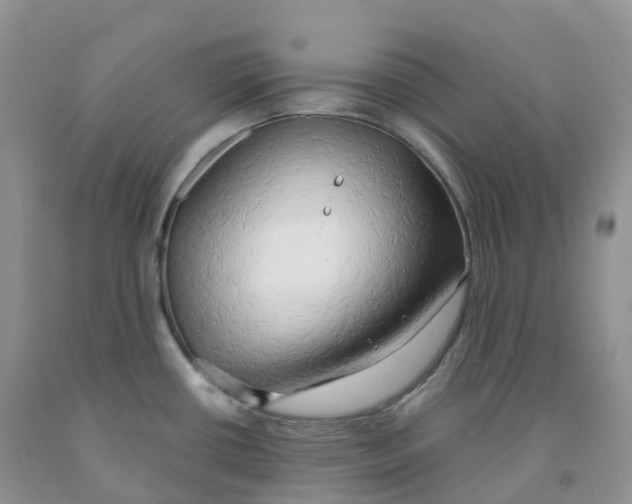 X0000091331434200709071147