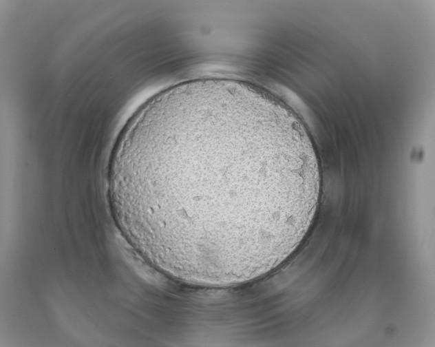 X0000091331435200709071147