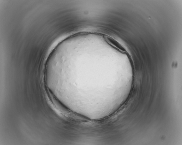 X0000091331437200709071147