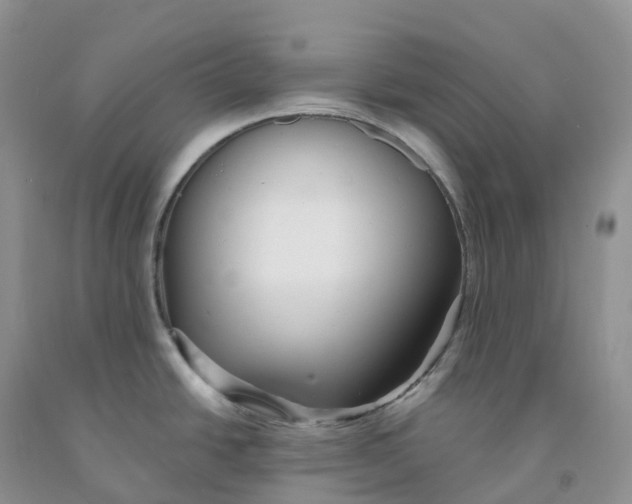 X0000091331438200709071147