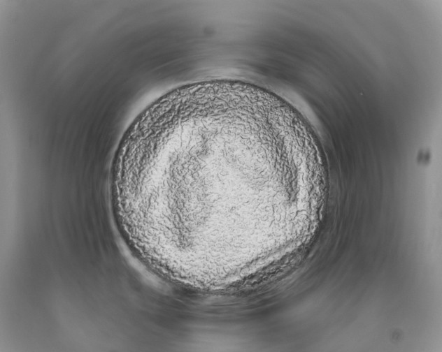 X0000091331439200709071147