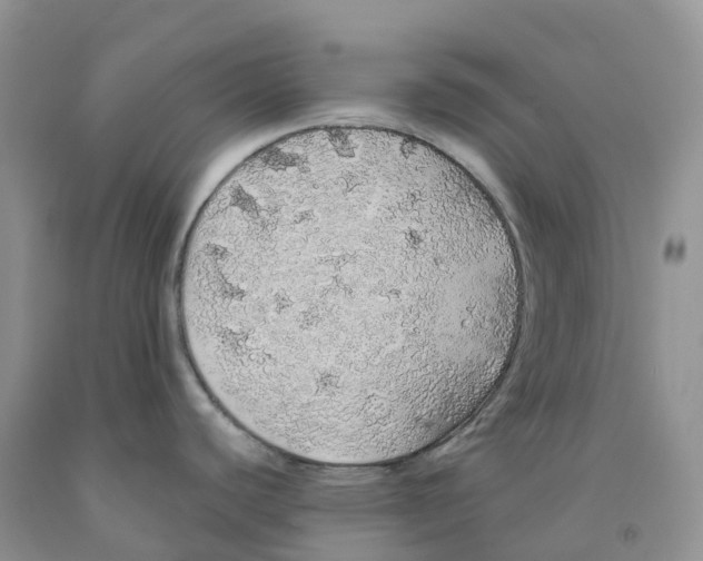 X0000091331440200709071147