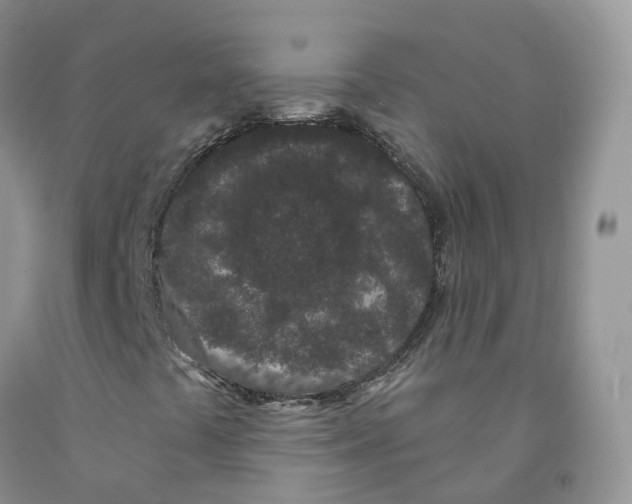 X0000091331441200709071147