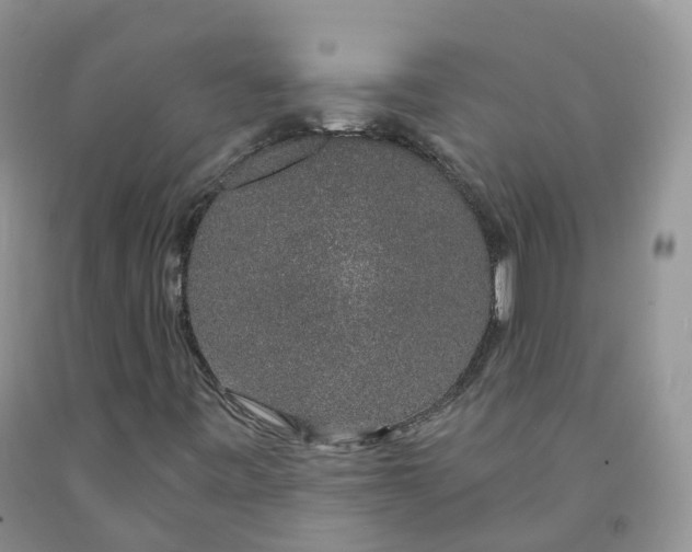 X0000091331443200709071147