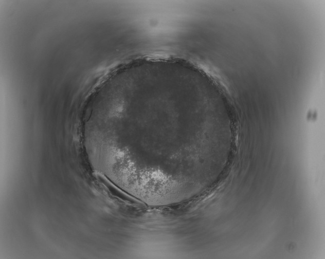 X0000091331445200709071147