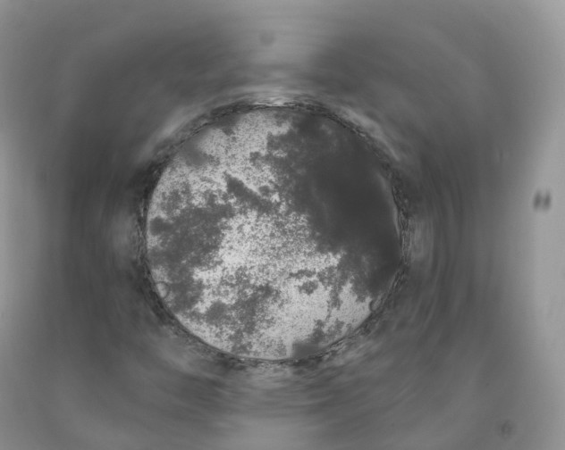 X0000091331446200709071147