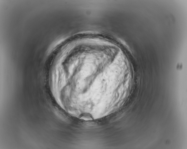 X0000091331448200709071147