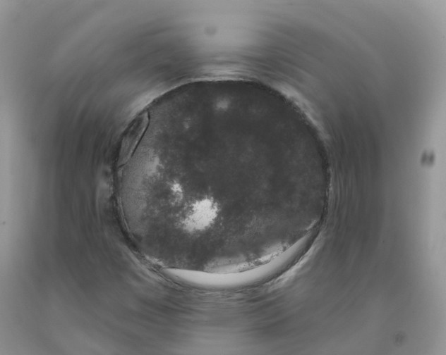X0000091331449200709071147