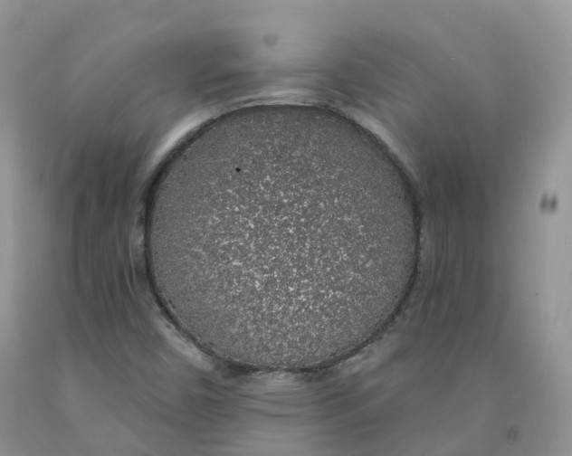 X0000091331450200709071147