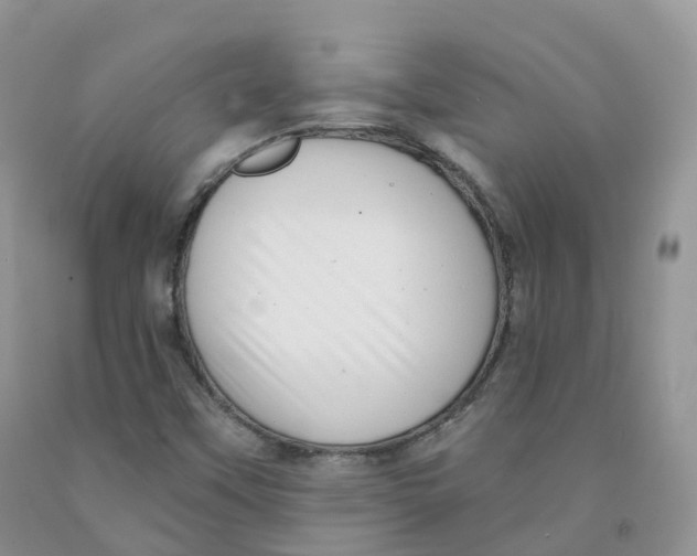 X0000091331451200709071147
