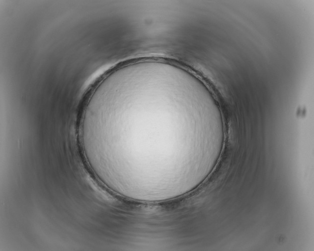 X0000091331452200709071146