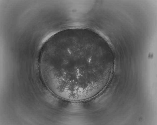 X0000091331453200709071146