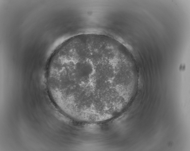 X0000091331454200709071146