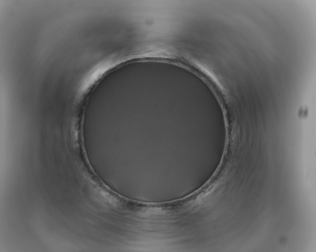 X0000091331455200709071146