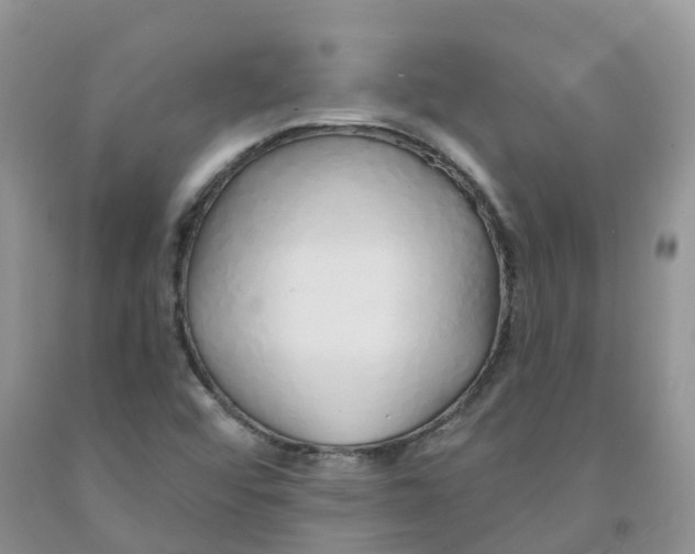 X0000091331456200709071146