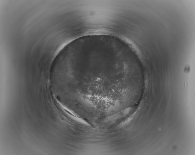 X0000091331457200709071146