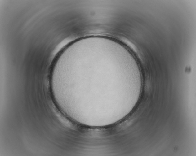 X0000091331458200709071146