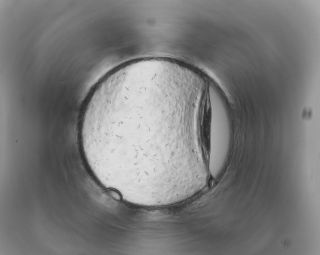 X0000091331460200709071146