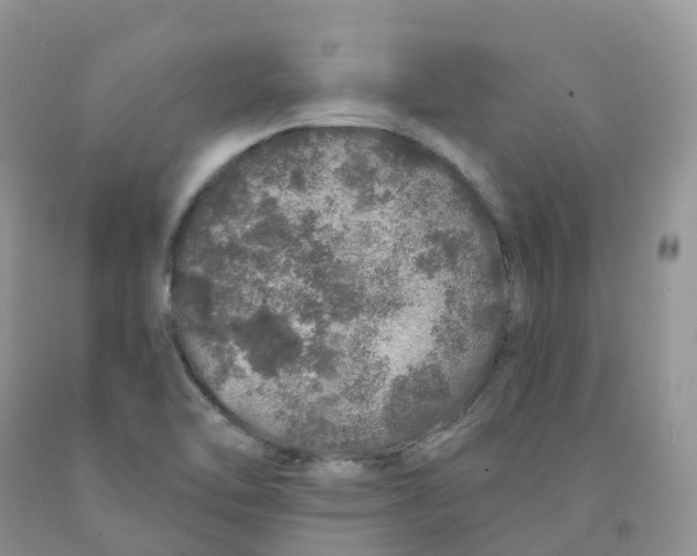 X0000091331462200709071146