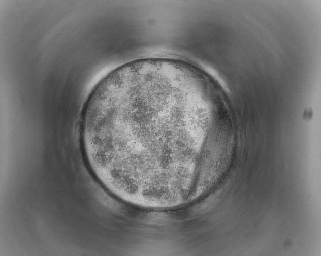 X0000091331463200709071146