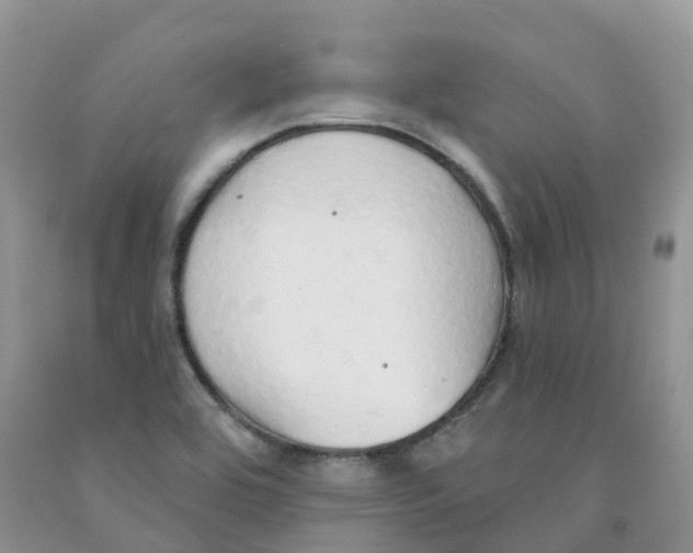 X0000091331464200709071146