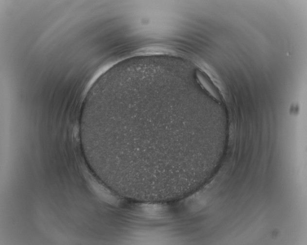 X0000091331465200709071146