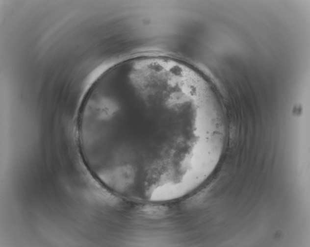 X0000091331466200709071146