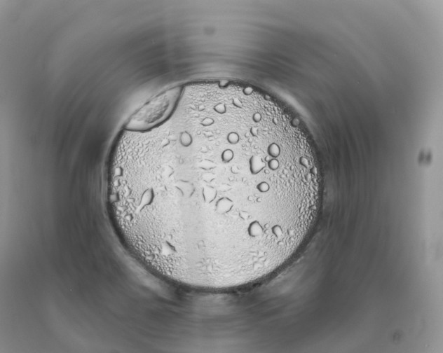 X0000091331467200709071146