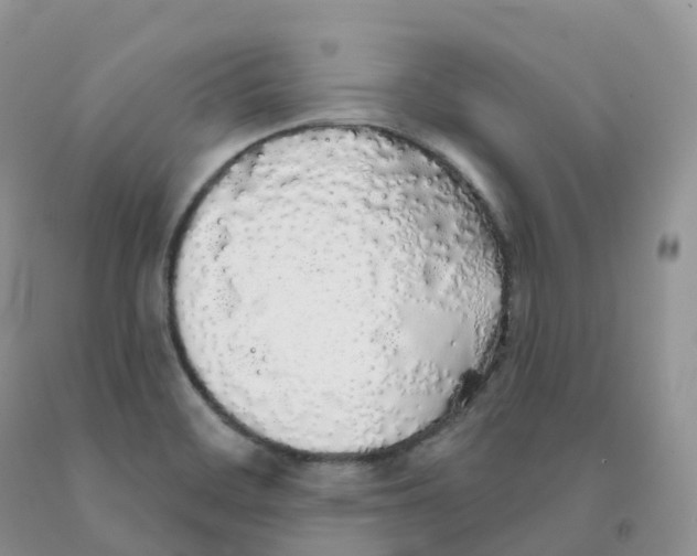 X0000091331468200709071146