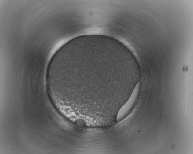 X0000091331469200709071146
