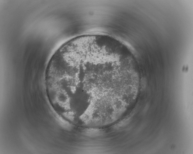 X0000091331470200709071146