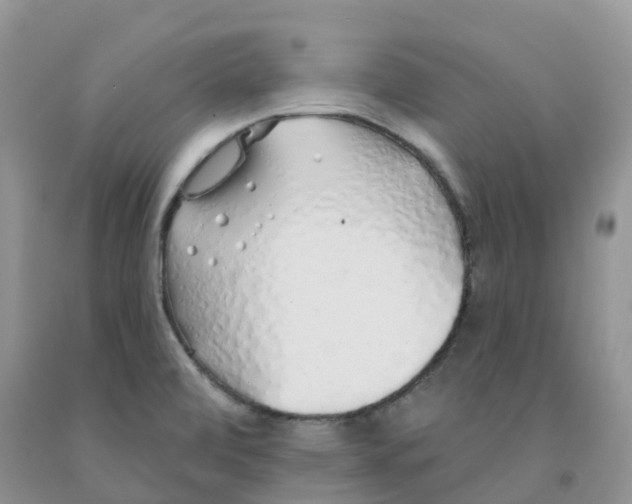 X0000091331472200709071146