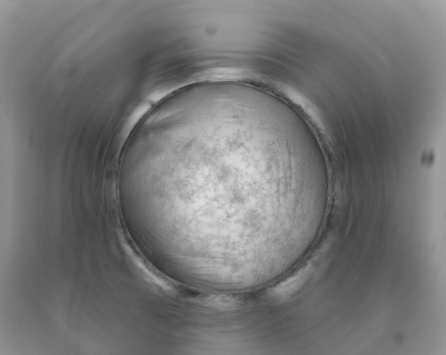 X0000091331473200709071146