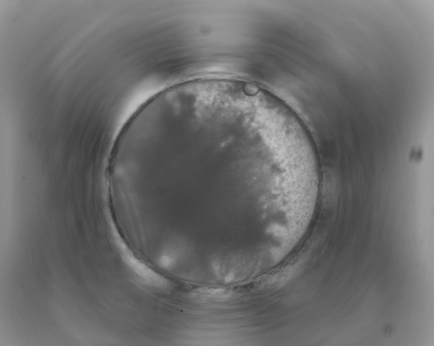 X0000091331474200709071146