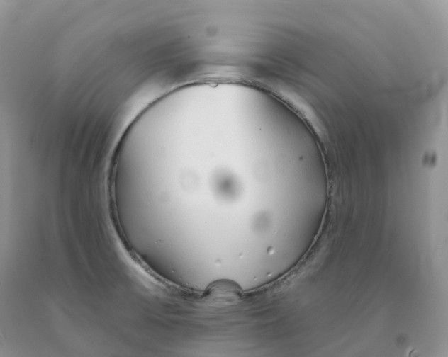 X0000091331475200709071146