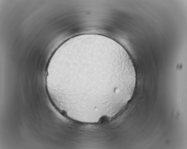 X0000091331476200709071146