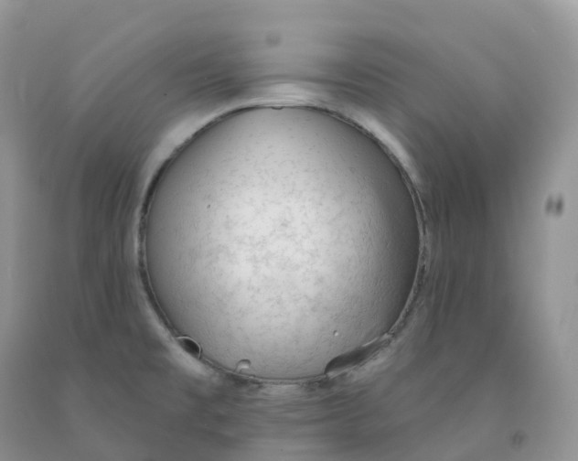 X0000091331477200709071146