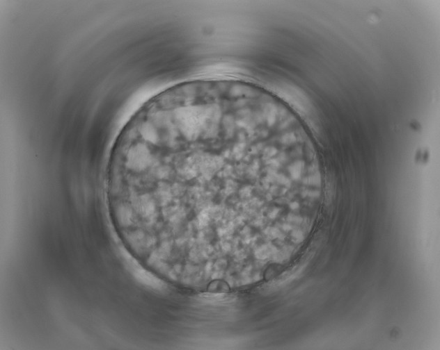 X0000091331478200709071146