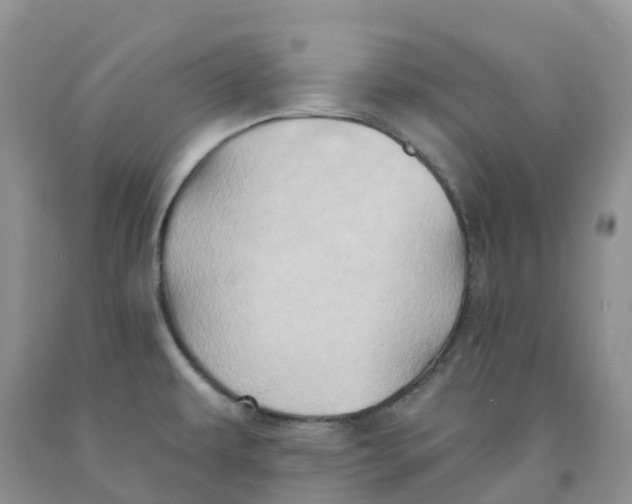 X0000091331479200709071146